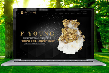 ���ڸ������ﱦʯ